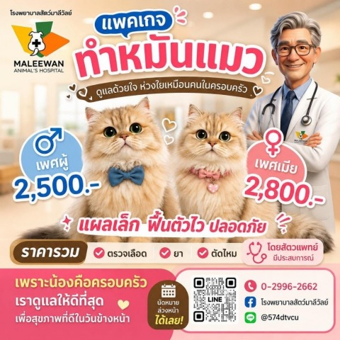 โรงพยาบาลสัตว์มาลีวัลย์ (13)